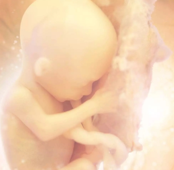 ხშირად დასმული კითხვები?